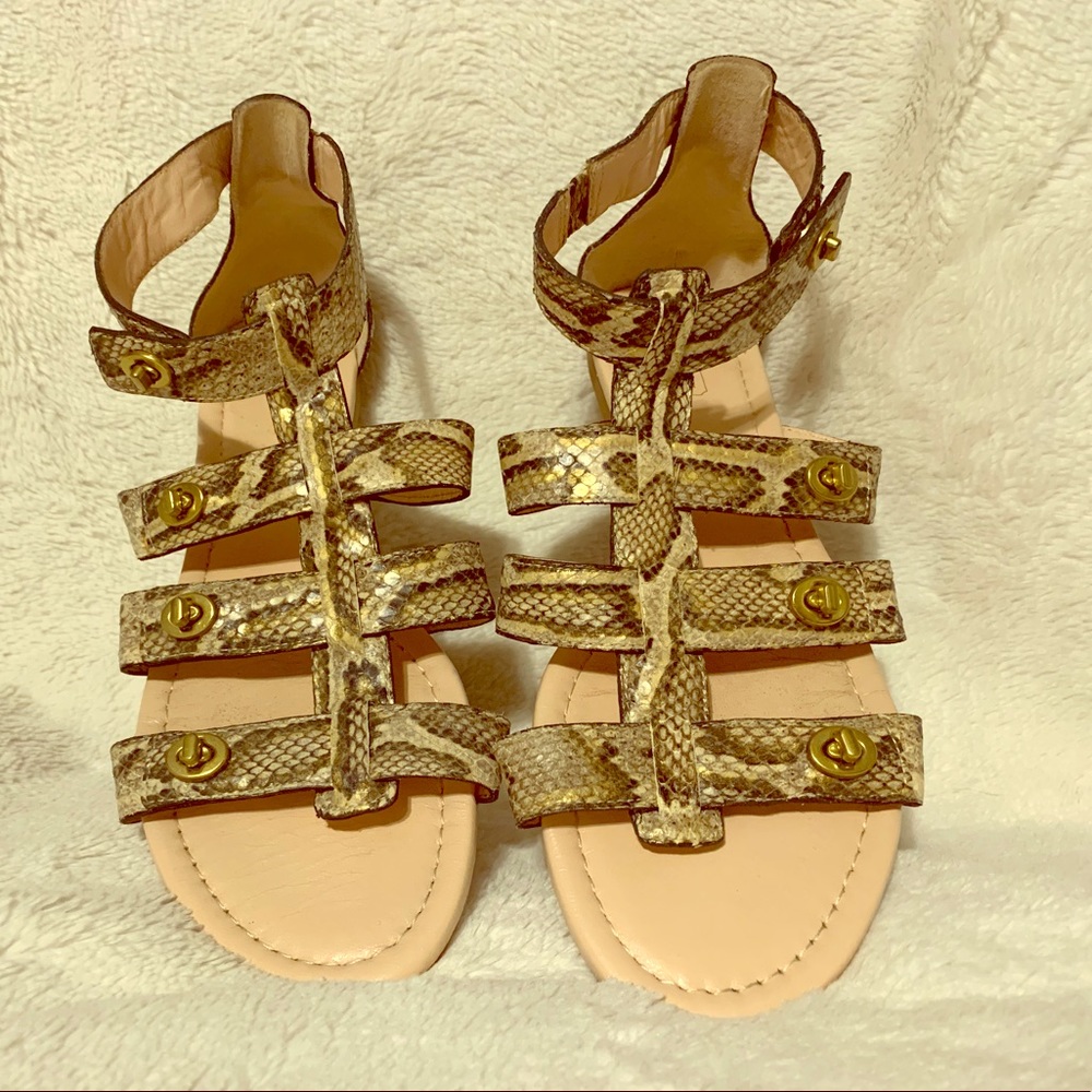 Coach Snake printed Gladiator sandal W9